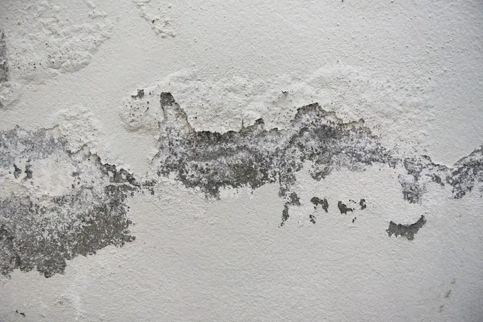 گچ های ریخته شده از دیوار در اثر رطوبت 61465841