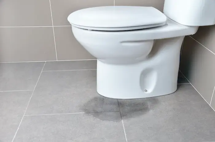 نشتی ناشی از نم زیر توالت فرنگی 16516