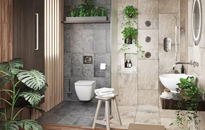 گیاهان در حمام و سرویس بهداشتی برای رفع بوی بد حمام 15641561